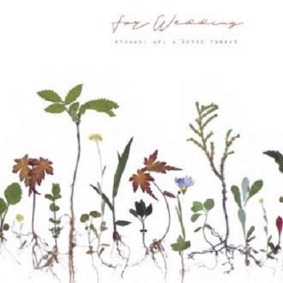 2025年最新カタログができました。