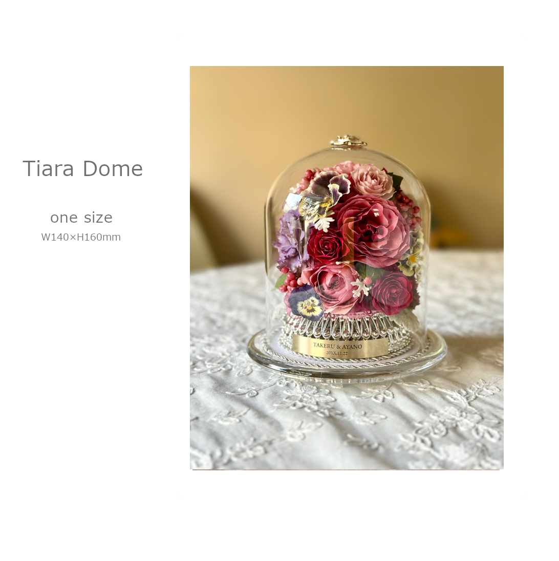 ティアラドーム ティアラドーム