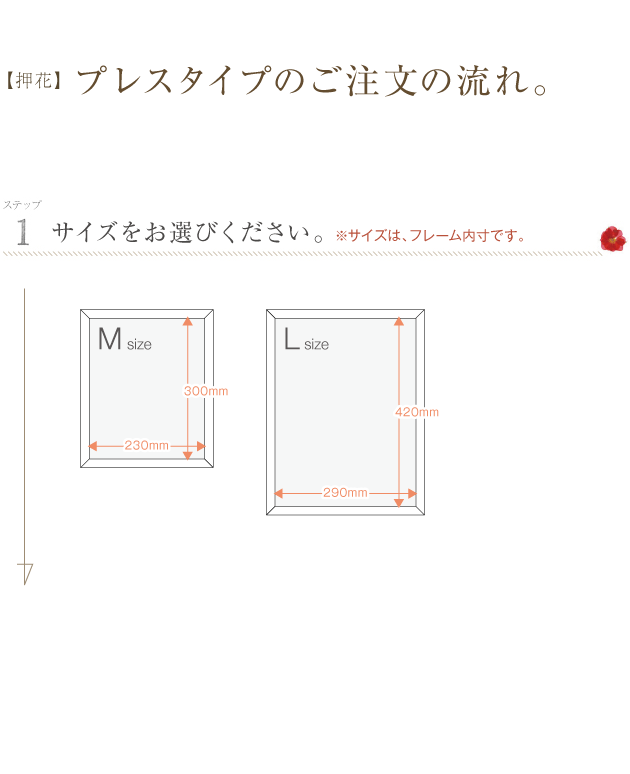 ミュシャM・L