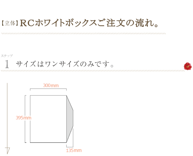 RCホワイトボックス
