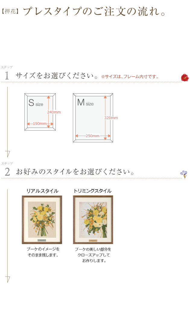 フレンチホワイトS・M