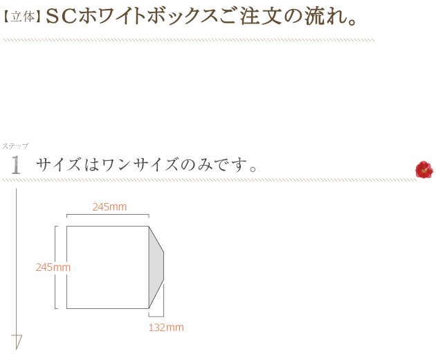 ＳCホワイトボックス